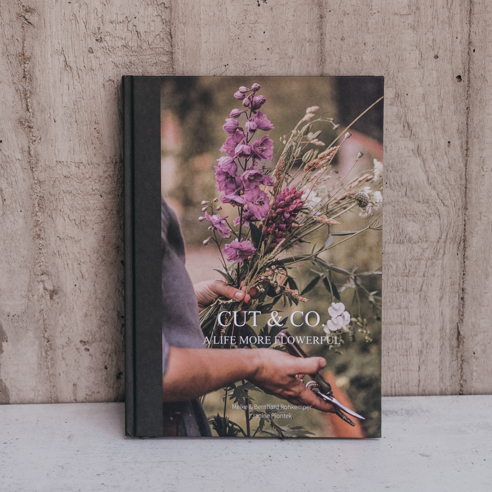 Cut & Co. Buch