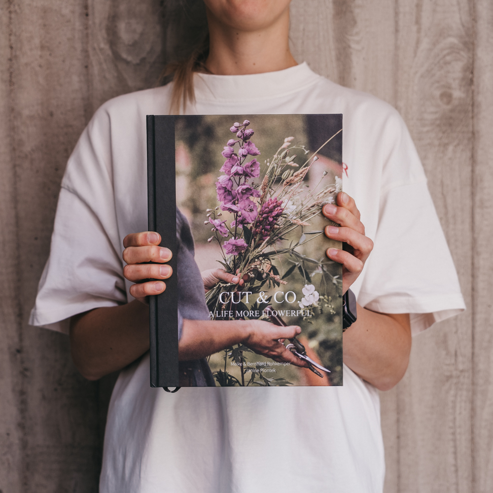 Cut & Co. Buch von einer Frau in den Händen gehalten