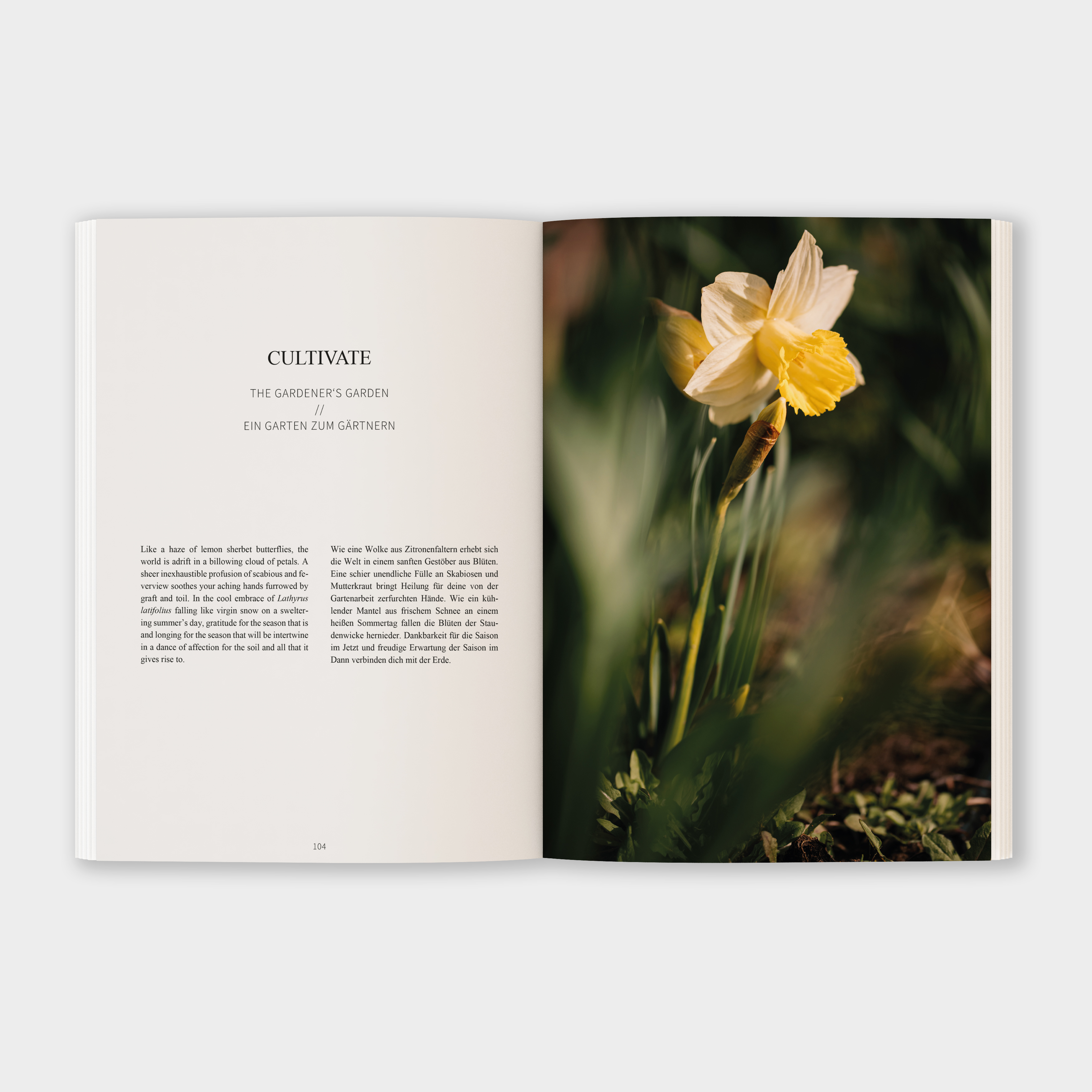 Inhalt Cut & Co. Buch
