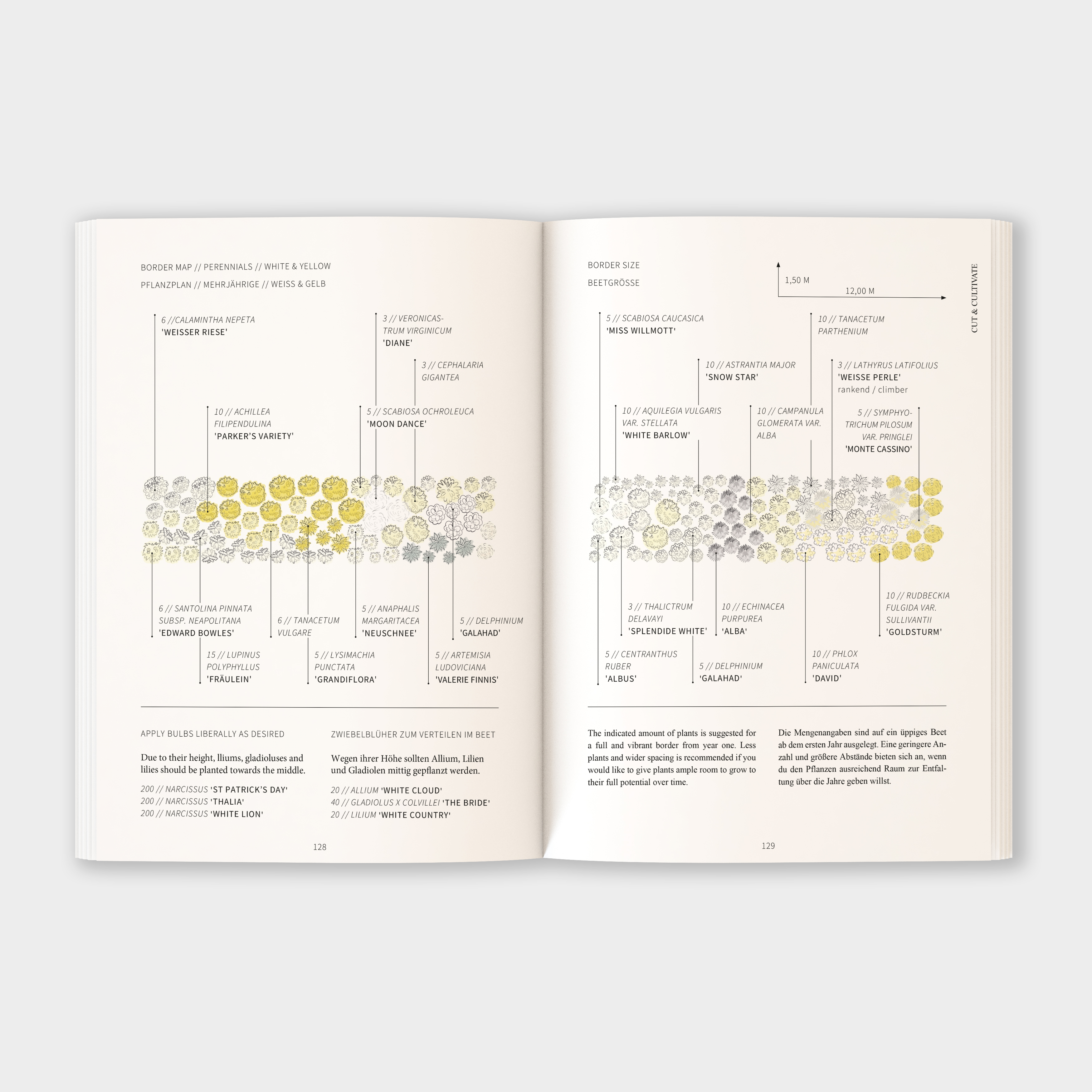 Inhalt Cut & Co. Buch