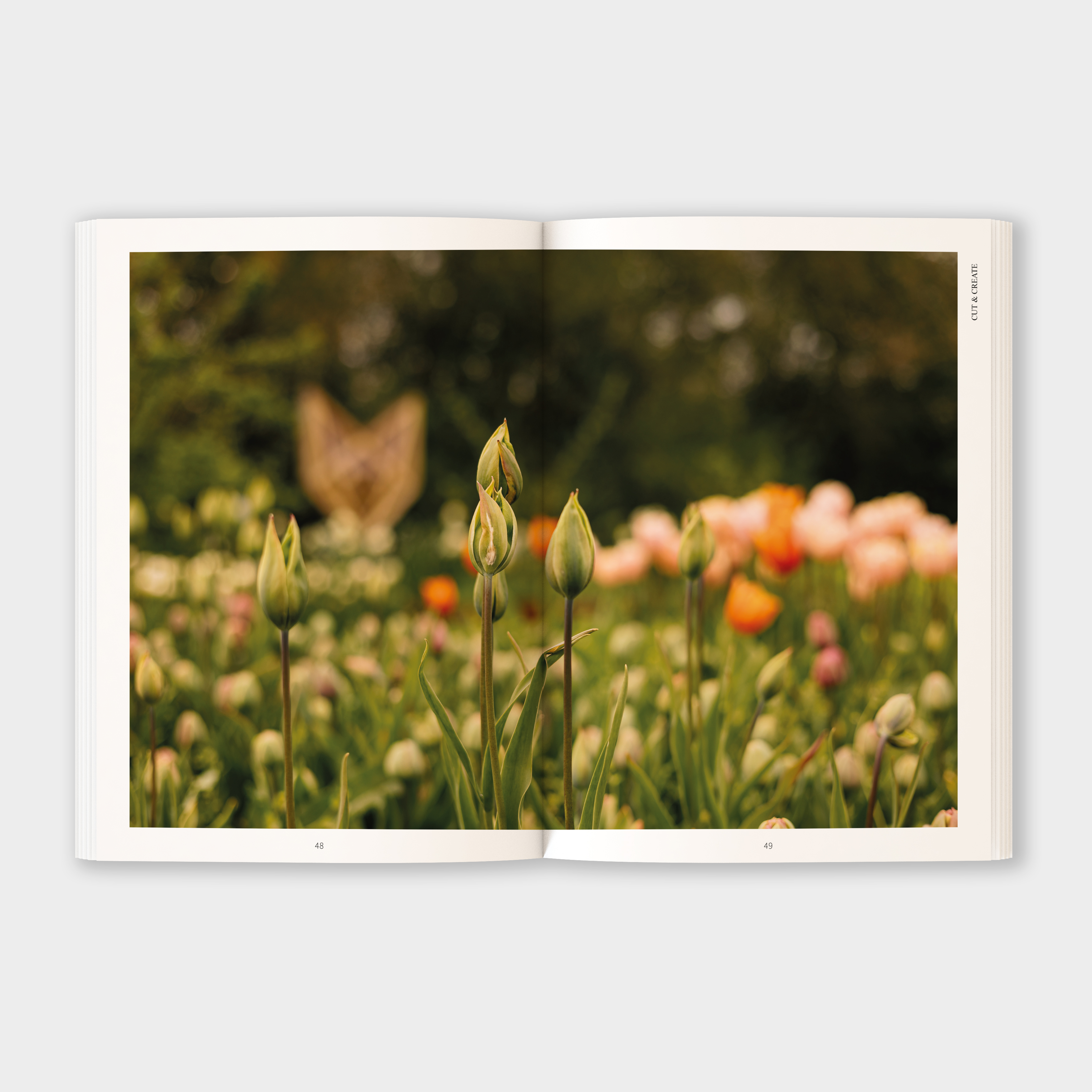 Inhalt Cut & Co. Buch