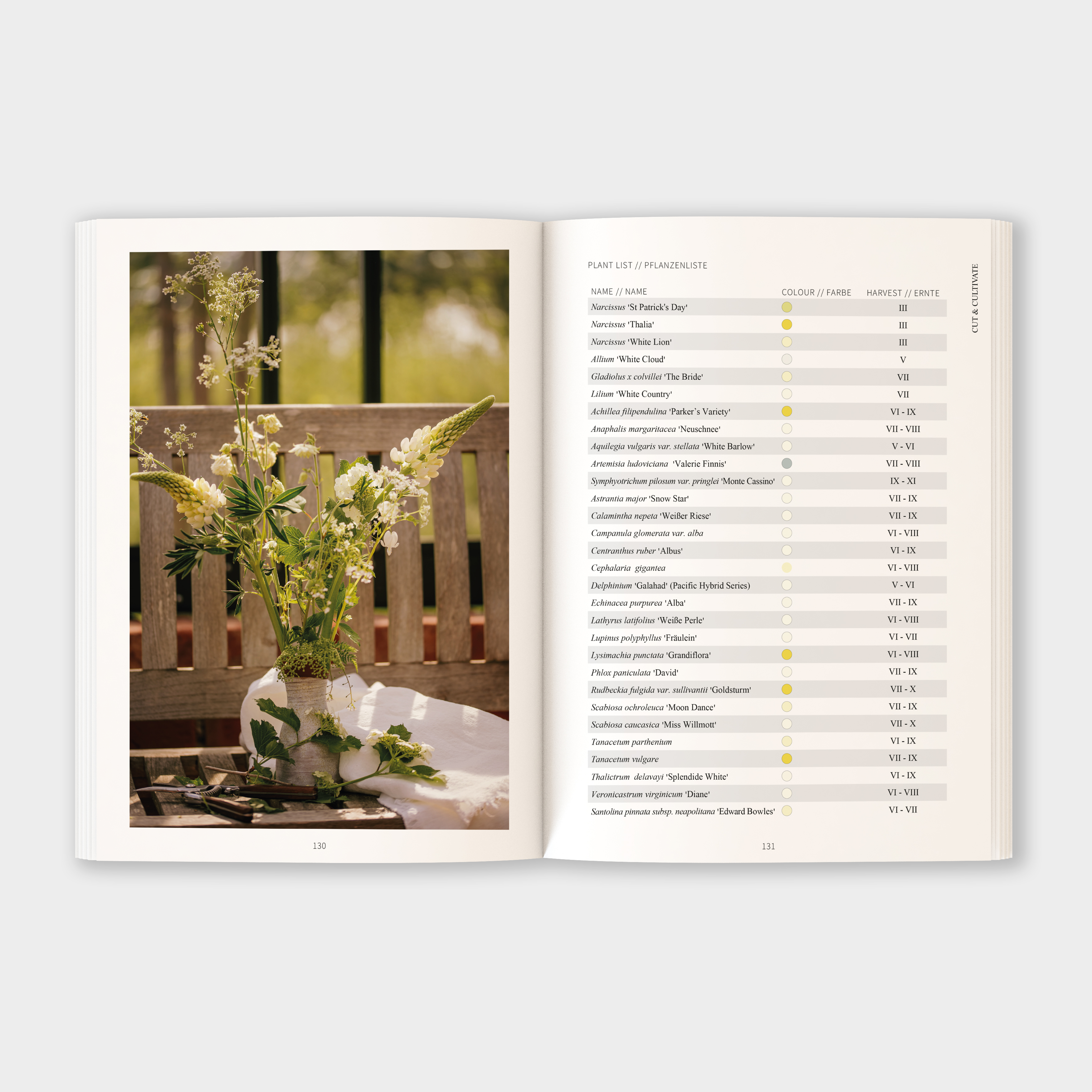 Inhalt Cut & Co. Buch